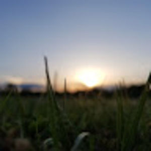 Meet your Posher, Kylie